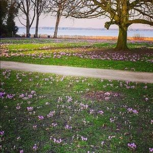 Meet your Posher, Dylan